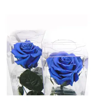 Rosa azul preservada (1 ud.)