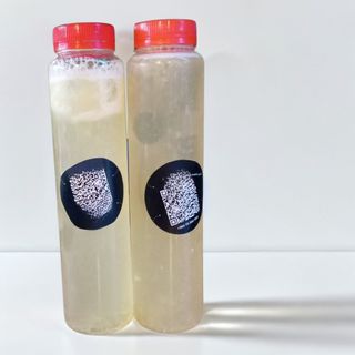 Лимонад Імбирний 330 мл