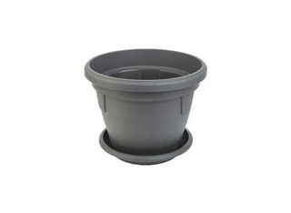 Саксия, сива, Ф25