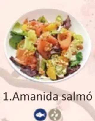 1. Amanida Salmó