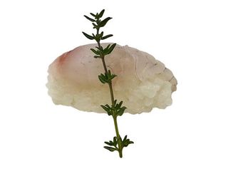 208 Nigiri tai - 2 pezzi