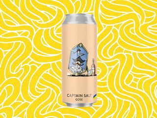 Пиво Captain Salt (330ml)