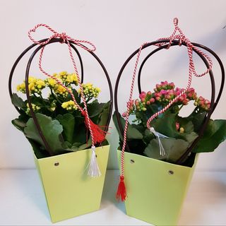 Aranjament de primavara cu Kalanchoe