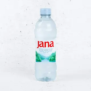 Obična voda 0.5l