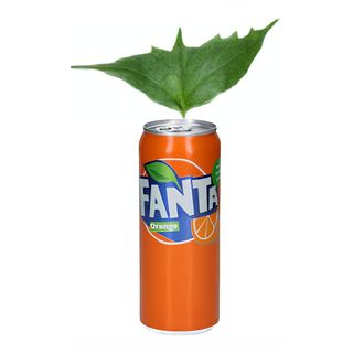Fanta 33cl