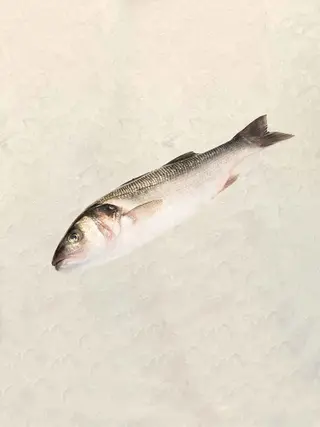 Lubina Salvaje (1.5 Kg.)
