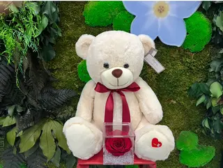 TEDDY SMALL E ROSE FOREVER TEDDY PICCOLO CON ROSA STABILIZZATA ETERNA