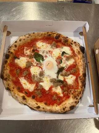 Donna Viola