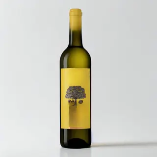 Sossego Branco