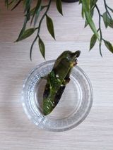 Люта чушка (1бр)