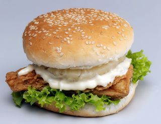 H-5 hamburguesa de pollo