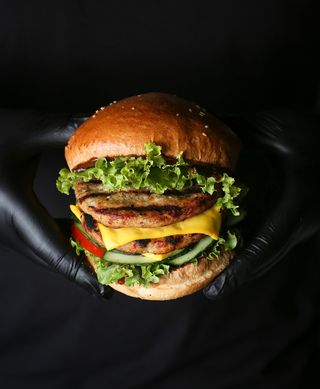 Չիզբուրգեր դաբլ հավի մսով 290 գր