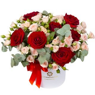 Композиція "Мулен Руж" 