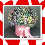 ყუთის გიფსოფილა (Large size)