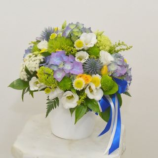 Aranjament cadou cu hortensie albastra