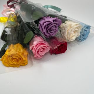 Rosa Preservada (Color a elegir)