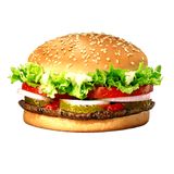 Бургер с говядиной (300г)