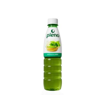 Tisana Matcha Menta Pleno 33 cl SDR