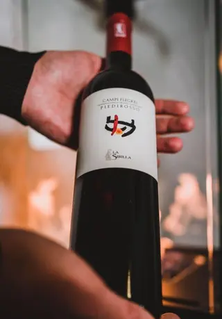 Piedirosso La Sibilla 2020