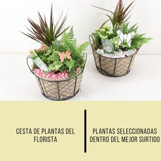 Cesta Del Florista