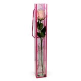 1 Rosa ROSA con Jarrón