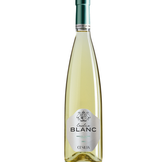 Cesilia Blanc (Alicante)