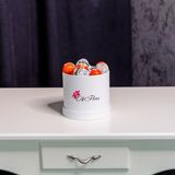 Lux Collection Kinder Surprise