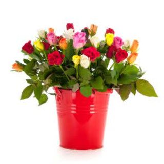 Mazzo rose lunghe miste