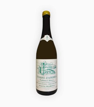 Trebbiano Torre Zambra