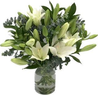 Ramo de 6 tallos de liliums blancos.