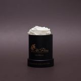 Trandafir criogenat alb în mini-cutie neagră