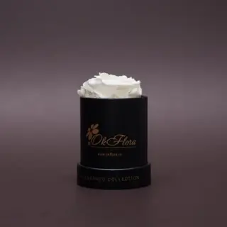 Trandafir criogenat alb în mini-cutie neagră
