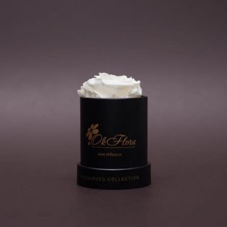 Trandafir criogenat alb în mini-cutie neagră