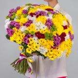 101 Crizanteme multicolore