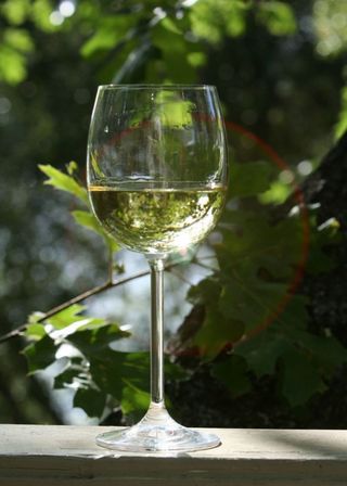 Вино Біла Орхідея 1л.