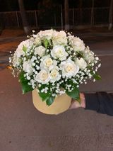 თეთრი ჯუჯა ვარდები