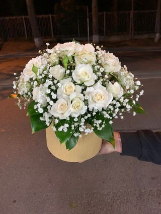 თეთრი ჯუჯა ვარდები