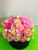 ჯუჯა ვარდების ფერადი კოლოფი