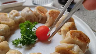 Grill Gyoza Box