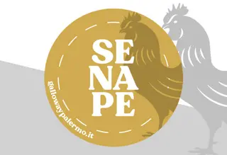Salsa Senape