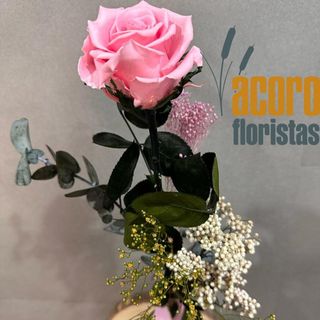 Rosa Eterna Rosa Decorada