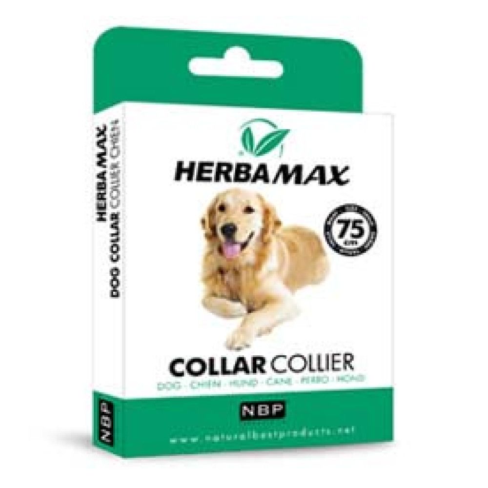 Suzbijanje buva, krpelja i komaraca