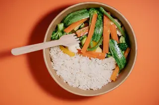 Steam Vegan