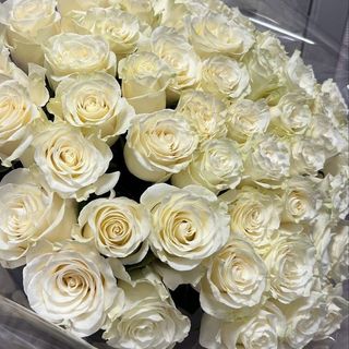 100 roses blanches emballées 