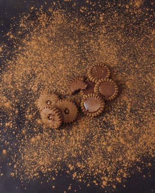 Twingo Chocolat - Par 100g