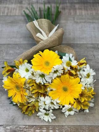 გერბერა ქრიზათემა ალსტრომერია