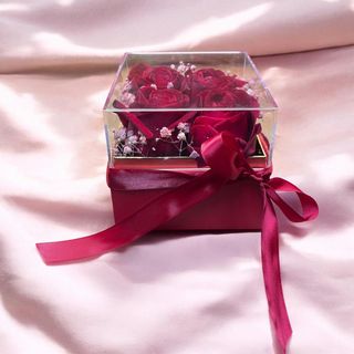 Box Rose fresche