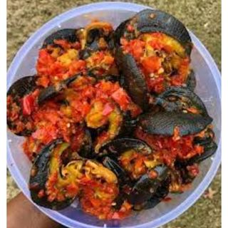 Peppered Snail (Each Big Snail)