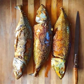 Titus Fish (Mackerel)