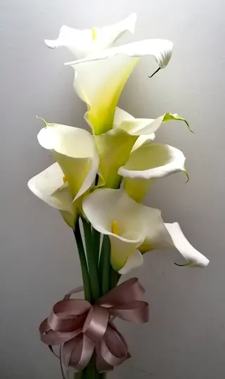 9 kala u buketu